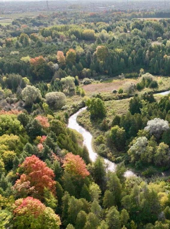 Creek valley trails near Northgate Trails, north Ajax
